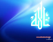 Unlimited Free Image and File Hosting at MediaFire