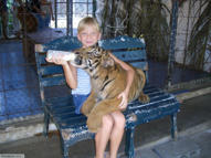 Unlimited Free Image and File Hosting at MediaFire