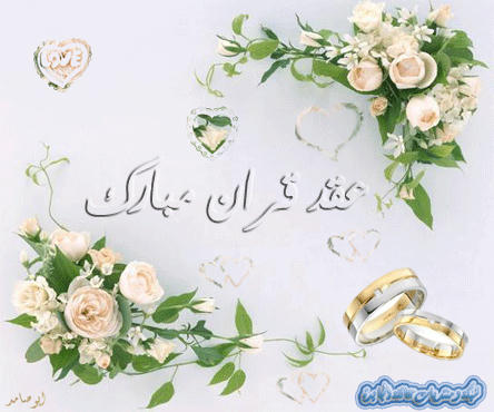224a3cf4a4411f1fe0dfc8207877999ceb18addc5d6126df5079be9a89e2e0624g.jpg