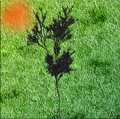Tree Silhouette tree silhouette wallpaper. Tree Silhouette
