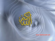 Unlimited Free Image and File Hosting at MediaFire