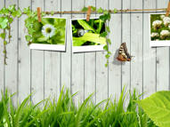 Unlimited Free Image and File Hosting at MediaFire