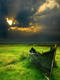 Unlimited Free Image and File Hosting at MediaFire