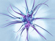 Unlimited Free Image and File Hosting at MediaFire