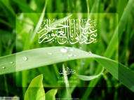 Unlimited Free Image and File Hosting at MediaFire