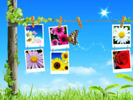 Unlimited Free Image and File Hosting at MediaFire