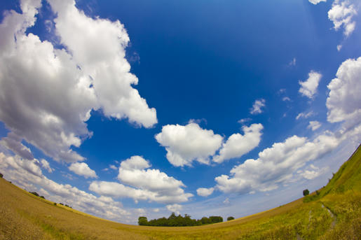 Canon 550d / Rebel T2i with canon 550d sample. Canon 550d / Rebel T2i with