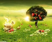 Unlimited Free Image and File Hosting at MediaFire