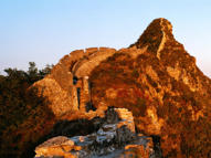 Unlimited Free Image and File Hosting at MediaFire