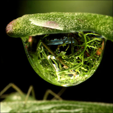 rain refraction in droplet