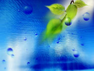 Unlimited Free Image and File Hosting at MediaFire