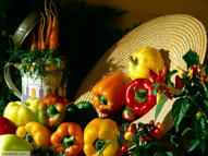 Unlimited Free Image and File Hosting at MediaFire