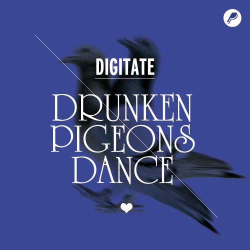Drunken Pigeons Dance Cover