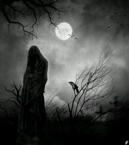 Unlimited Free Image and File Hosting at MediaFire