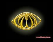 Unlimited Free Image and File Hosting at MediaFire