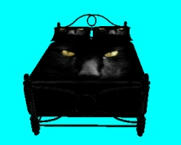 Unlimited Free Image and File Hosting at MediaFire