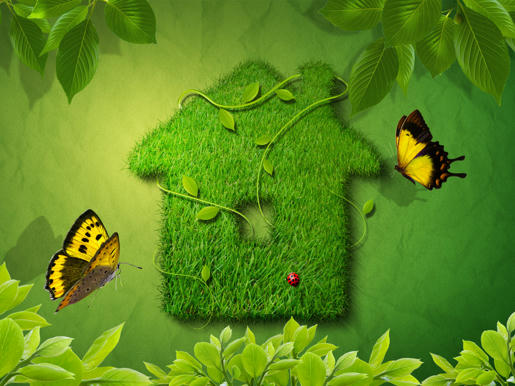 Unlimited Free Image and File Hosting at MediaFire