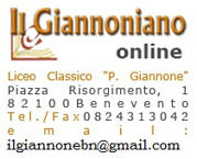 ilgiannonebn@gmail.com