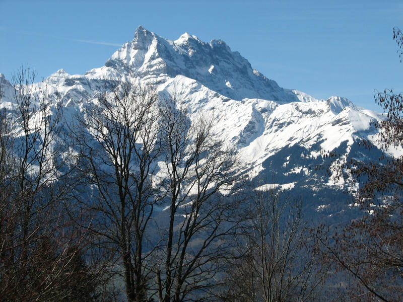 Swiss Alps