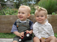 Unlimited Free Image and File Hosting at MediaFire