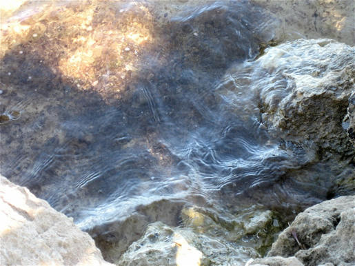 http://www.mediafire.com/imgbnc.php/5731bcb8e6d969a235182e941591962d4g.jpg