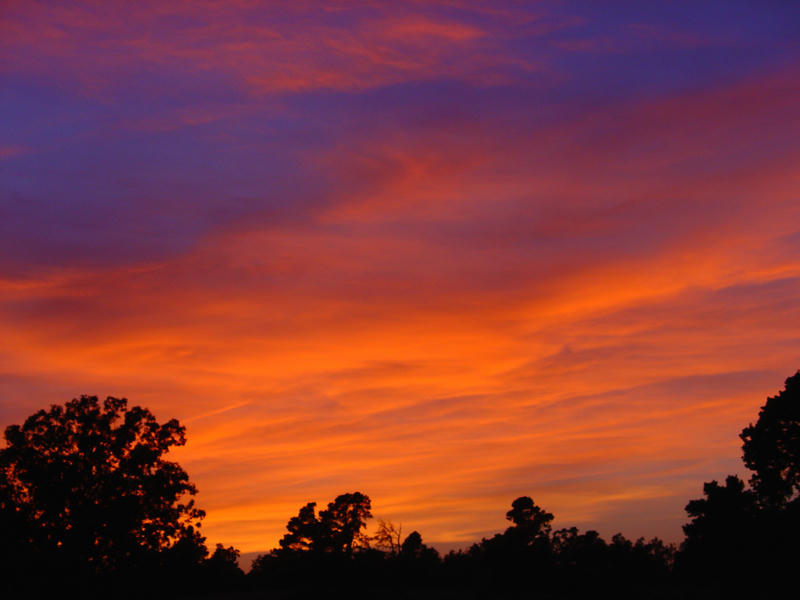 Sunset Picture