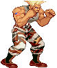cvsguile