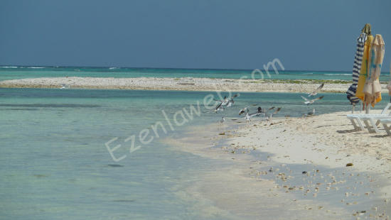 Los Roques