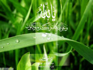 Unlimited Free Image and File Hosting at MediaFire