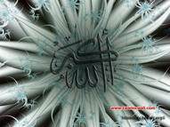 Unlimited Free Image and File Hosting at MediaFire