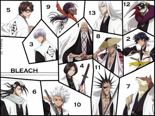 bleach gotei 13 captains wallpaper
