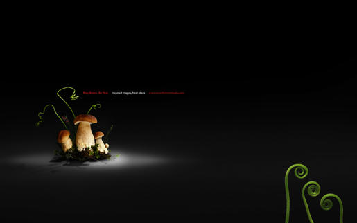 Unlimited Free Image and File Hosting at MediaFire
