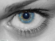 Unlimited Free Image and File Hosting at MediaFire