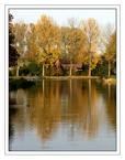 Unlimited Free Image and File Hosting at MediaFire