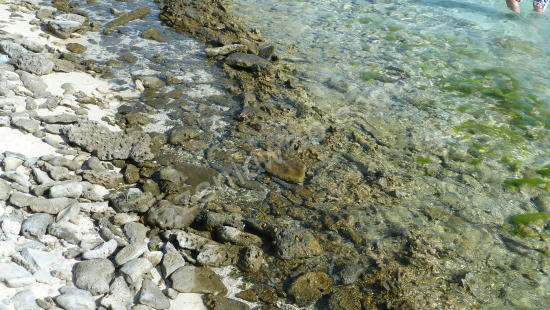 Los Roques