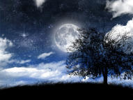 Unlimited Free Image and File Hosting at MediaFire