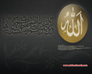 Unlimited Free Image and File Hosting at MediaFire