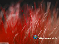 Unlimited Free Image and File Hosting at MediaFire