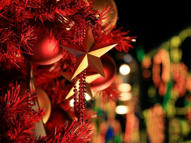 Unlimited Free Image and File Hosting at MediaFire