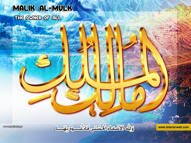 Unlimited Free Image and File Hosting at MediaFire