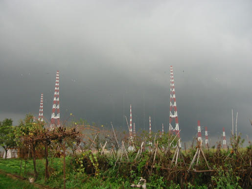 85e1c4c0ae7ac8b0cb55f7a367df6a7a616b8177