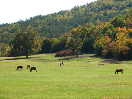 Oklahoma Ranch