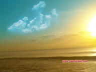 Unlimited Free Image and File Hosting at MediaFire