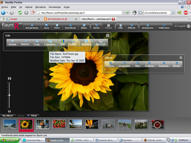Unlimited Free Image and File Hosting at MediaFire