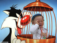 Unlimited Free Image and File Hosting at MediaFire