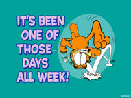 Unlimited Free Image and File Hosting at MediaFire