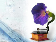 Unlimited Free Image and File Hosting at MediaFire