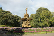 Unlimited Free Image and File Hosting at MediaFire