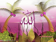 Unlimited Free Image and File Hosting at MediaFire