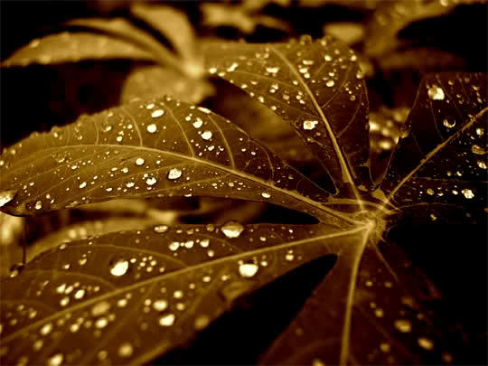 a3bb3478a68a1576163e767ac4980d212f1f36e1ac0973934f16e307b40a3eb06g.jpg